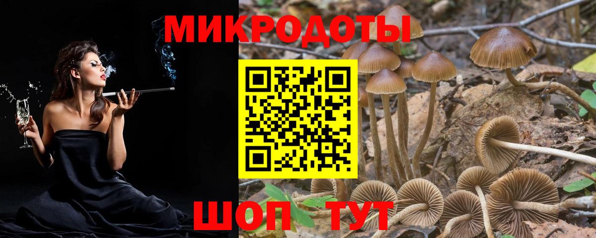 Псилоцибиновые грибы мухоморы  Вход с VPN  Псилоцибиновые грибы прущие грибы  Воскресенск 